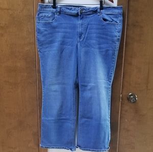 Women's Avenue Denium Bootcut 24 W PETITE Jeans